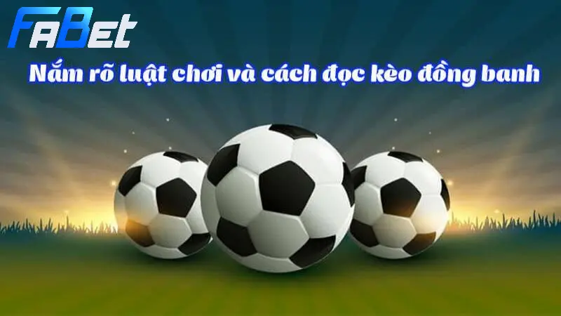 Cách đọc kèo bóng đồng banh cho tân thủ