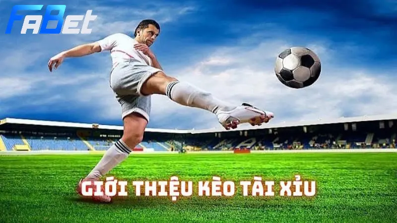 Cách đọc kèo tài xỉu phổ biến trong bóng đá hiện nay
