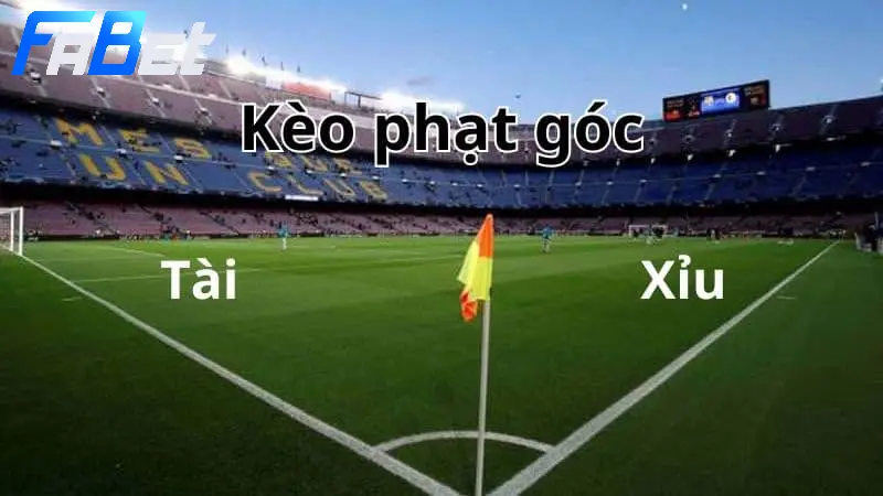 Kèo phạt góc tài xỉu đang thu hút lượng lớn bet thủ