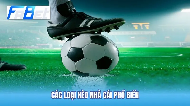 Một số loại kèo nhà cái phổ biến trong cá cược bóng đá