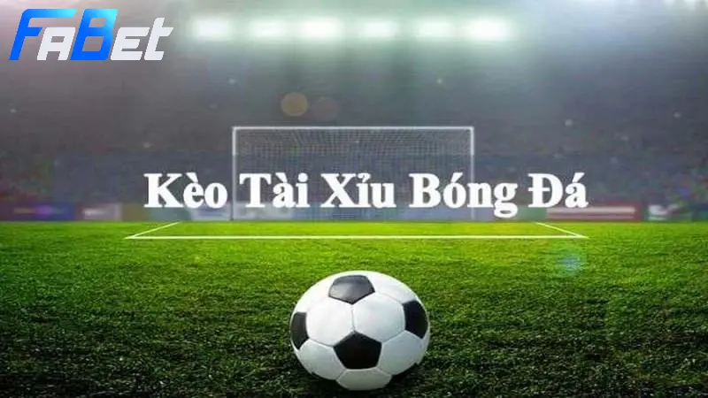 Kinh nghiệm soi kèo Over/Under hôm nay từ chuyên gia