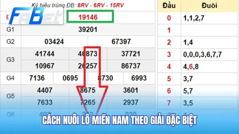 Cách nuôi lô theo giải đặc biệt dễ trúng