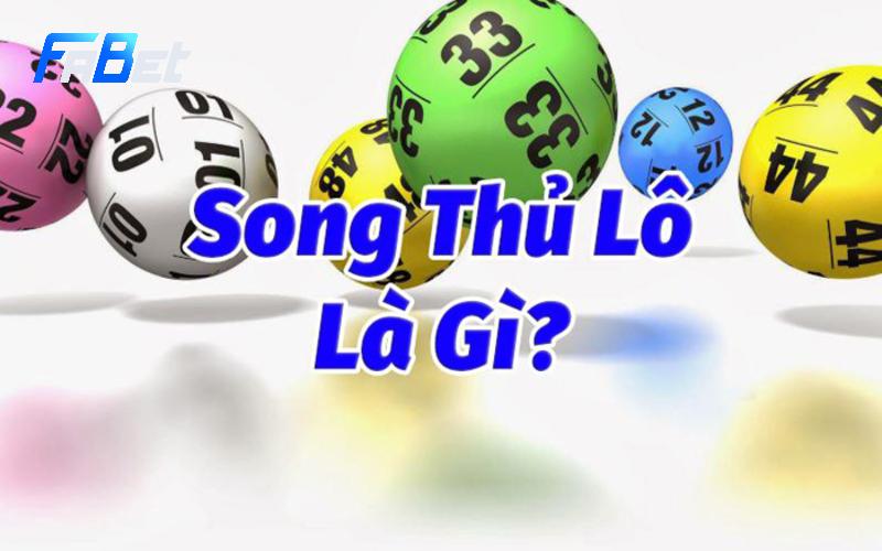 Chơi lô song thủ miền Bắc là gì?